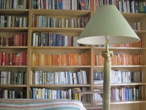 Library shelves full of color-coded books in Carmel Bird's workspace