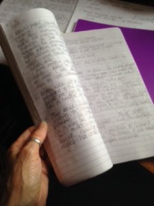 Rosie Garland's notebook