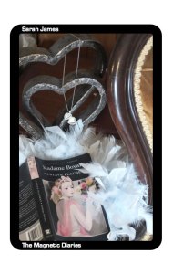 Screenshot from The Magnetic Diaries by Sarah James