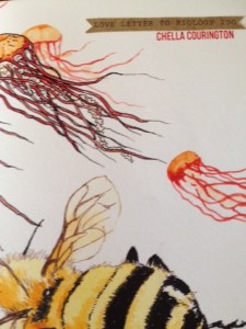 Writer Chella Courington Book Cover - Love Letter to Biology 250