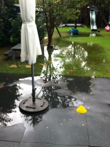 Backyard flooded on a rainy day