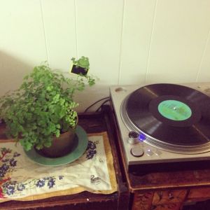 Simmone's record player