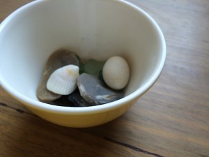 Bowl of objects (eg. stones and glass) that have inspired Lucy's writing