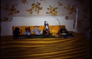 Debra's Beatrix Potter collection